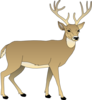 Male Deer Clip Art